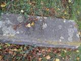 image of grave number 365765